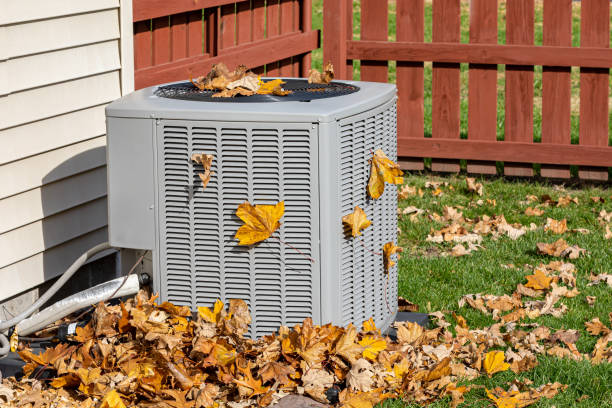 Best HVAC Air Duct Cleaning  in Ormond Beach, FL